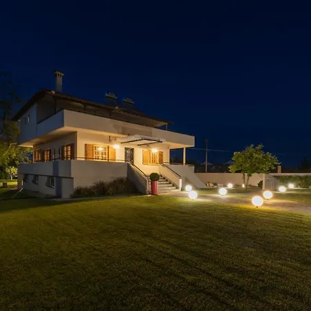 Elisabeth 플라타모나스