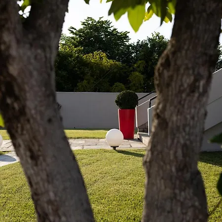 فيلة Elisabeth *